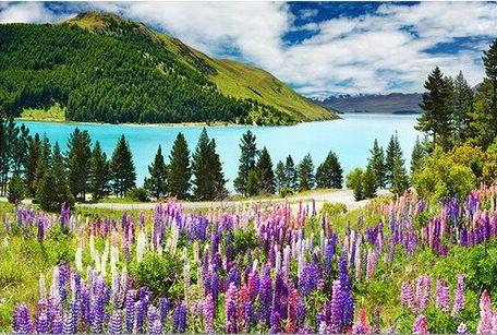 

Lake Tekapo – Paint By Numbers - 40*50CM, 501 Original