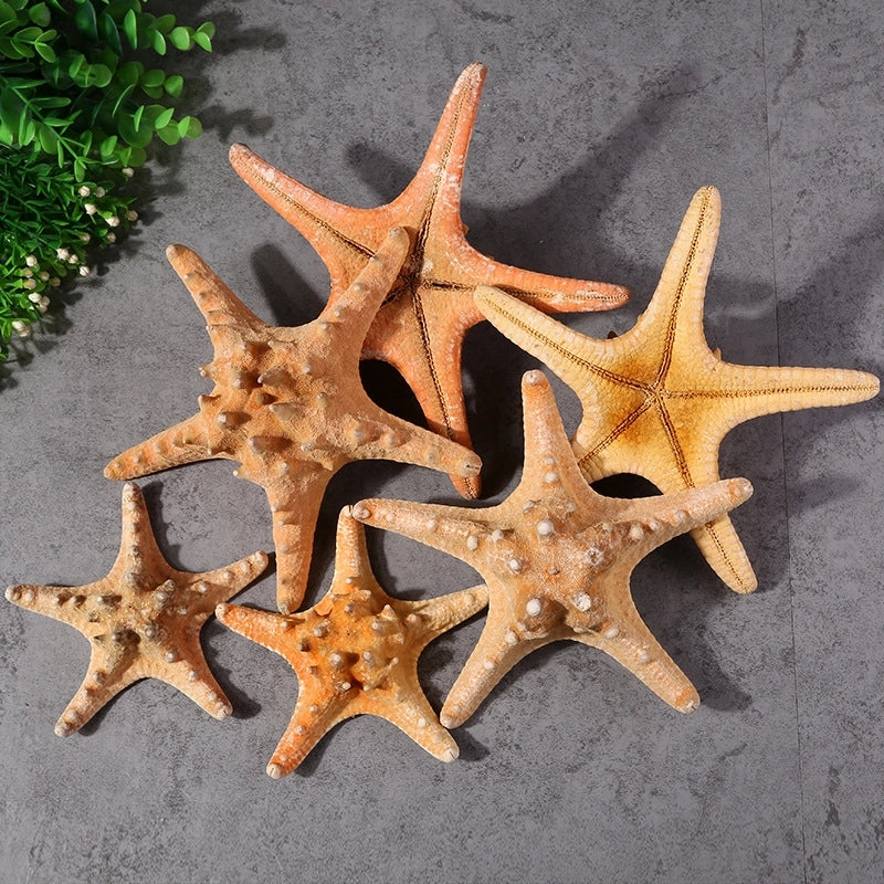 Beach Minimalist Starfish Shell Handicraft Raw Materials Artificial Decorations