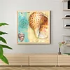 uk.everydayedeals (Limited Stock)Paint By Number - Oil Painting -  Shell (40*40Cm)