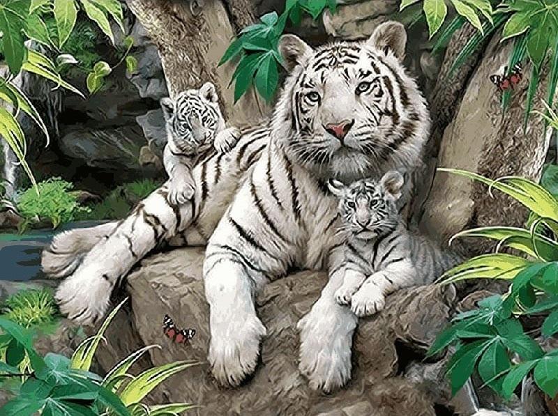 

White Tiger Family – Paint By Numbers - 40*50CM, 501 Original