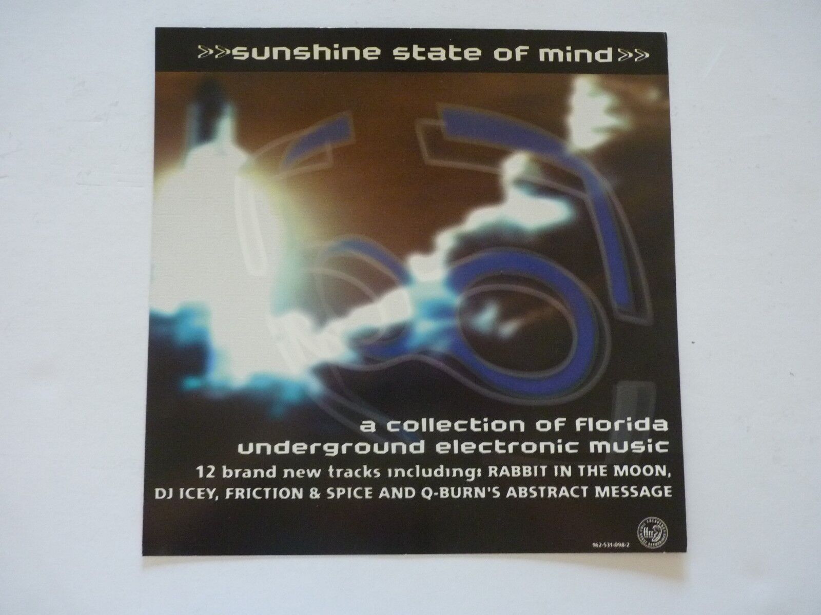 Sunshine State of Mind Florida Underground LP Record Photo Poster painting Flat 12x12 Poster