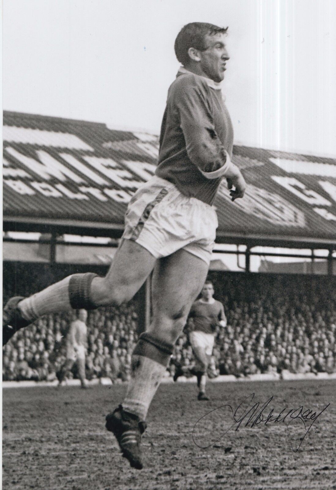 Johnny Morrissey Hand Signed Everton 12x8 Photo Poster painting 5.