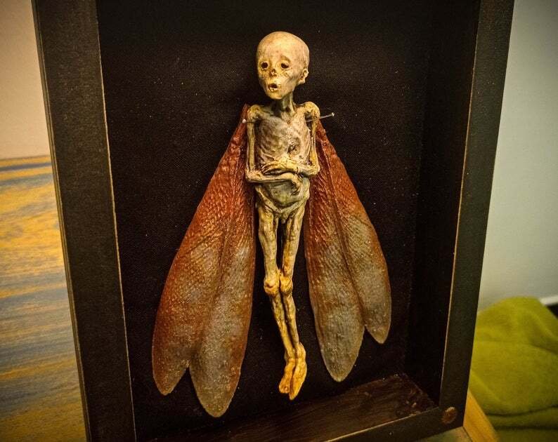 Dead Fairy Shadow Box Display