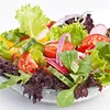 Heirloom Salad Vegetables Greens Mix Seed Pod Kit