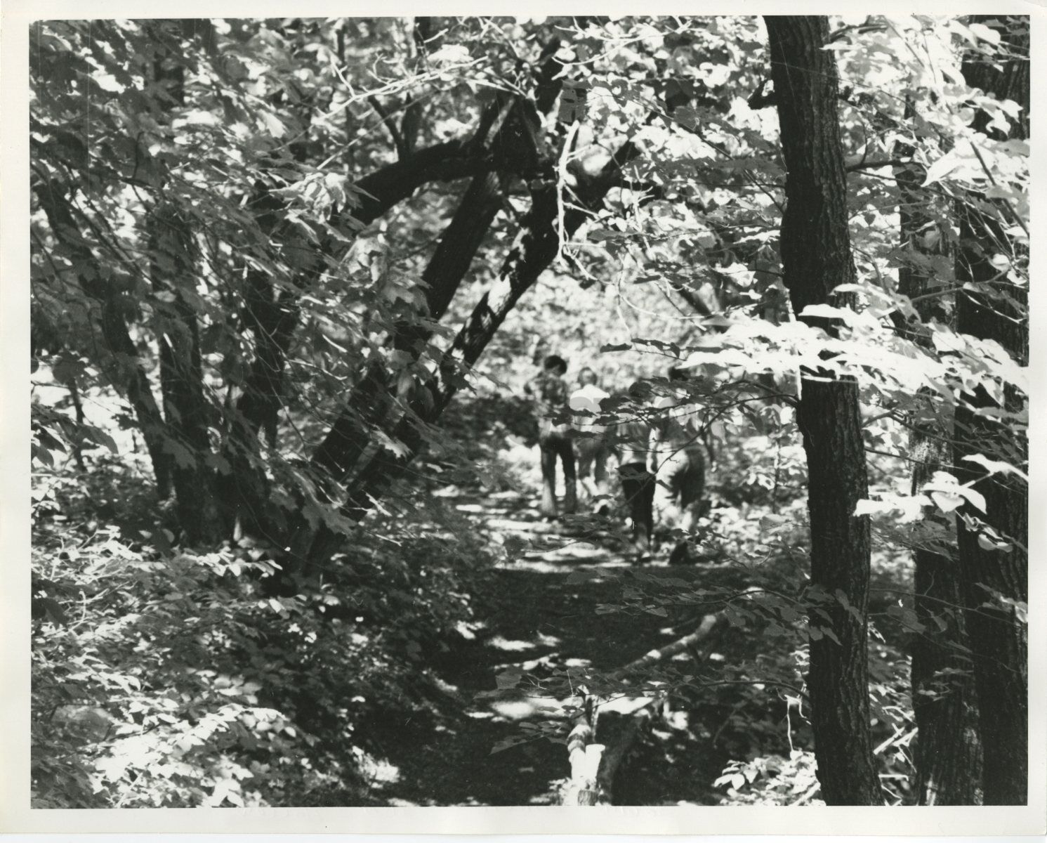 South Dakota History - Vintage 8x10 Publication Photo Poster painting - Sica Hollow State Park