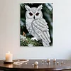 DIY Pearl Painting Owl for Home Wall Decor with Frame(30x40cm)