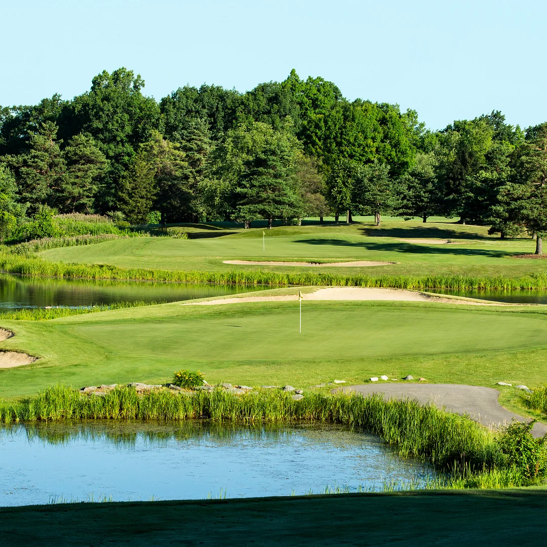 PC2.0 (Penncross) Creeping Bent Grass