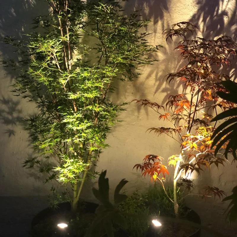 Solar Powered Spotlight