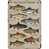 Native Trout - Vintage Metal Signs - 20*30cm/30*40cm