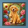 Diamond Painting -5D Full Round Drill Golden Retriever Puppy(40x40cm)