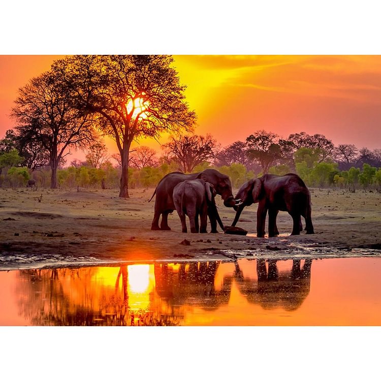 Peinture de diamant - plein rond - éléphant de coucher du soleil