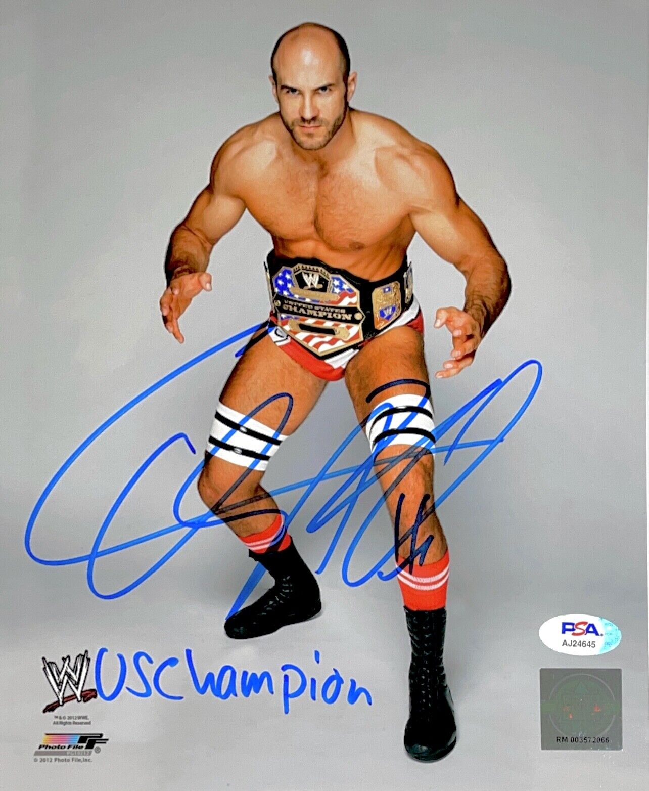 WWE CESARO HAND SIGNED AUTOGRAPHED 8X10 WRESTLING Photo Poster painting WITH PROOF AND PSA COA 2