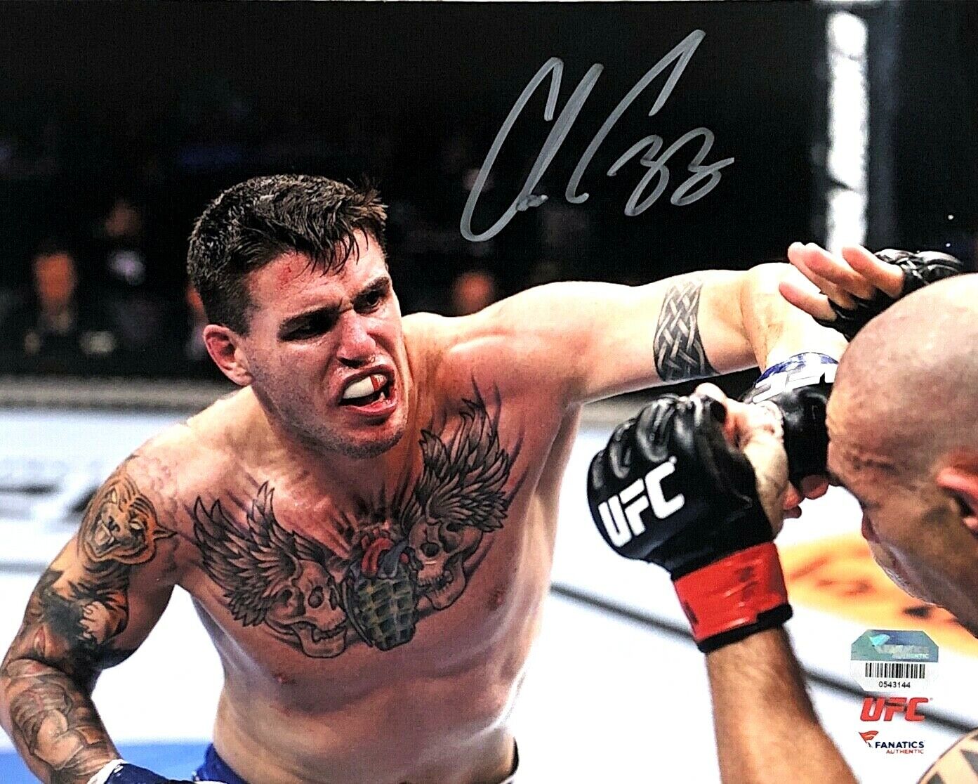 CHRIS CAMOZZI HAND SIGNED AUTOGRAPHED 8X10 UFC MMA Photo Poster painting WITH FANATICS COA 2