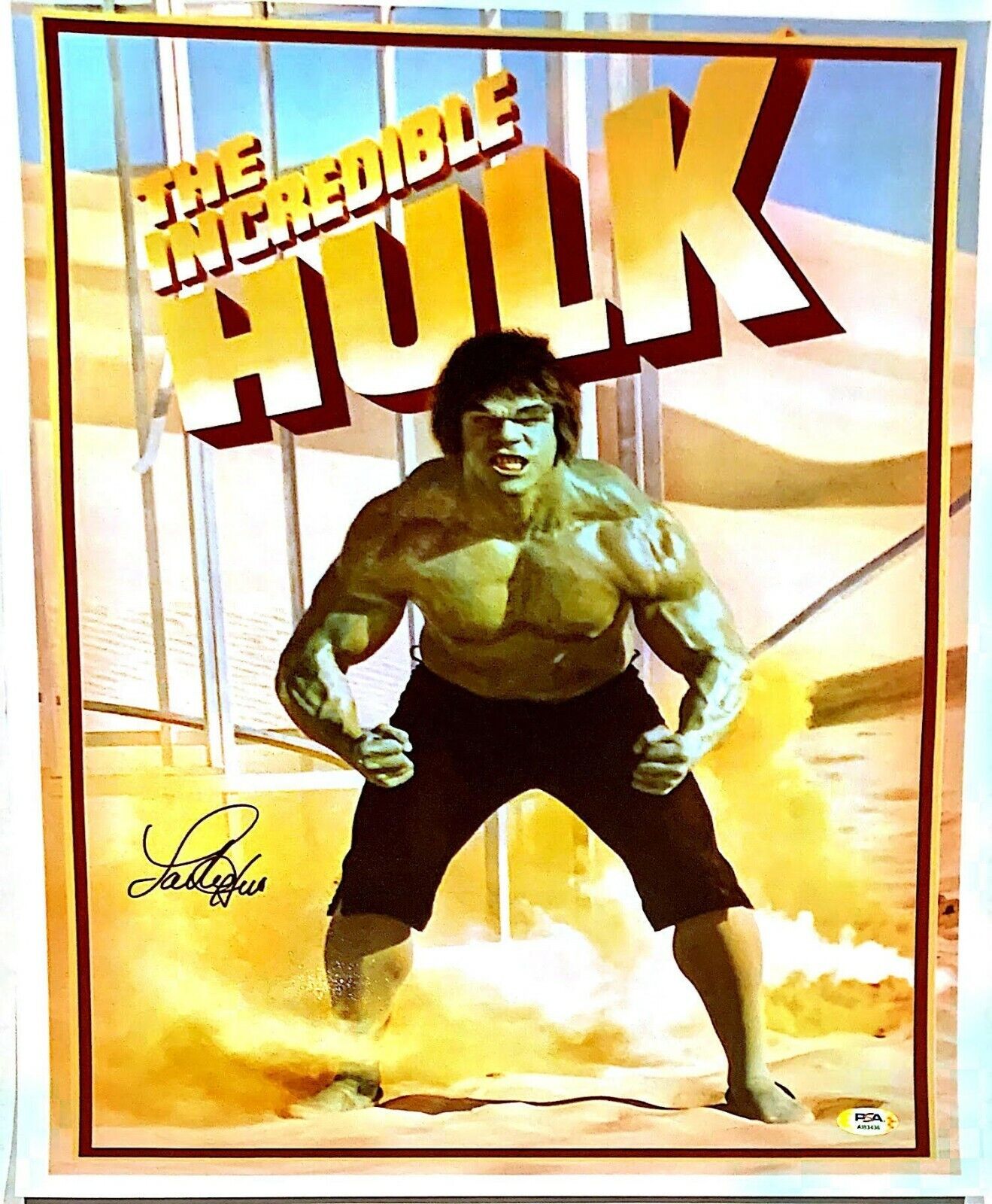 Lou Ferrigno Signed 16x20 Photo Poster painting Incredible Hulk PSA AI83436