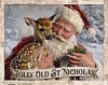 Luxury AB Velvet Diamond Painting Kit  | Christmas Santa Claus