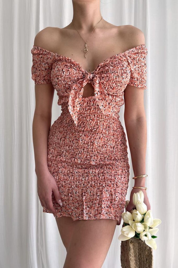V-Neck Print Pleated Mini Dress