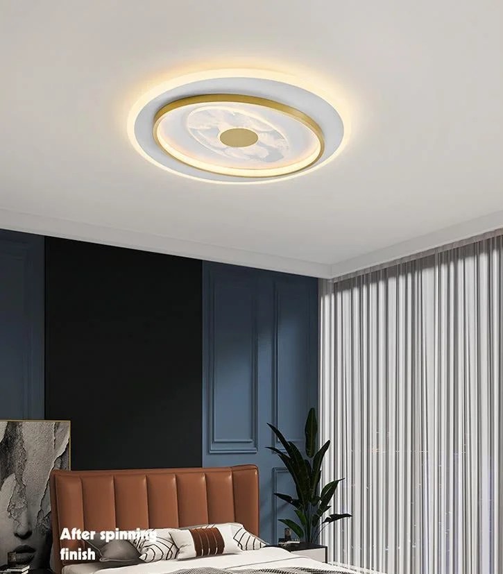 Living Room Ceiling Lamp Creative Feather Light Luxury LED Lamps