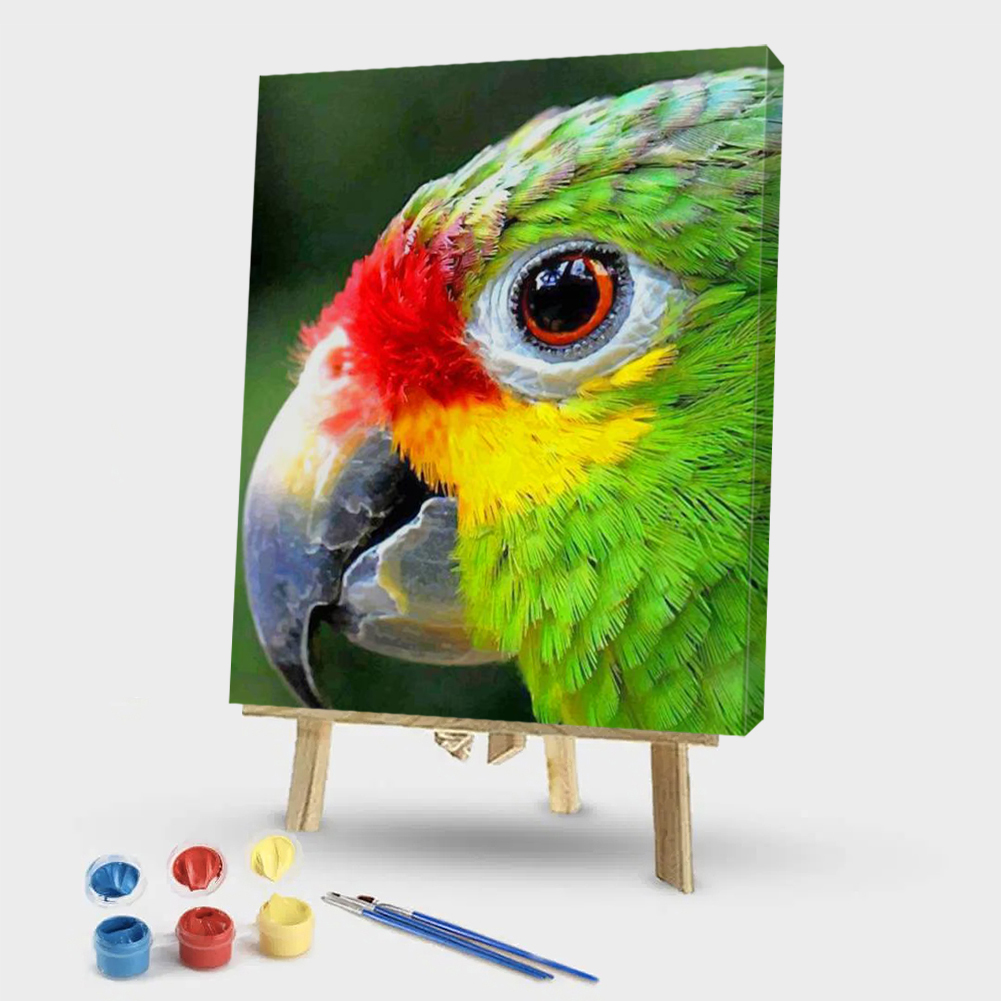 

40*50CM - Paint By Numbers - Parrot, 501 Original