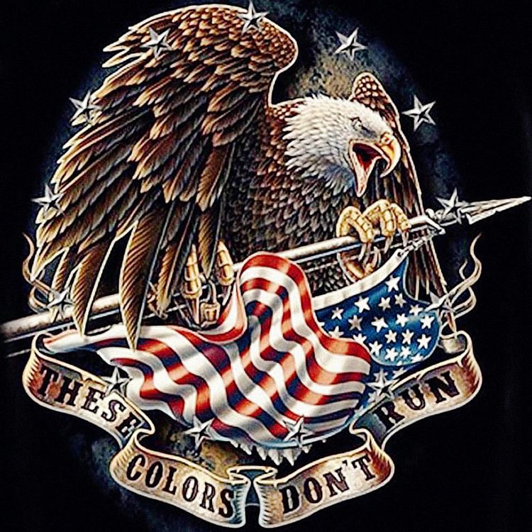 Fly Eagle  Full Round Diamond Painting 30*30cm