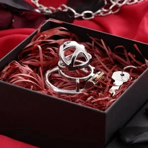 pornhint Pornhint Metal Chastity Cage for Male, Sissy Bondage Belt Device, Hand Polish Penis Rings, Mature, F04