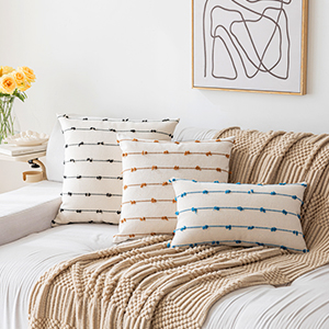 farmhouse pillow covers