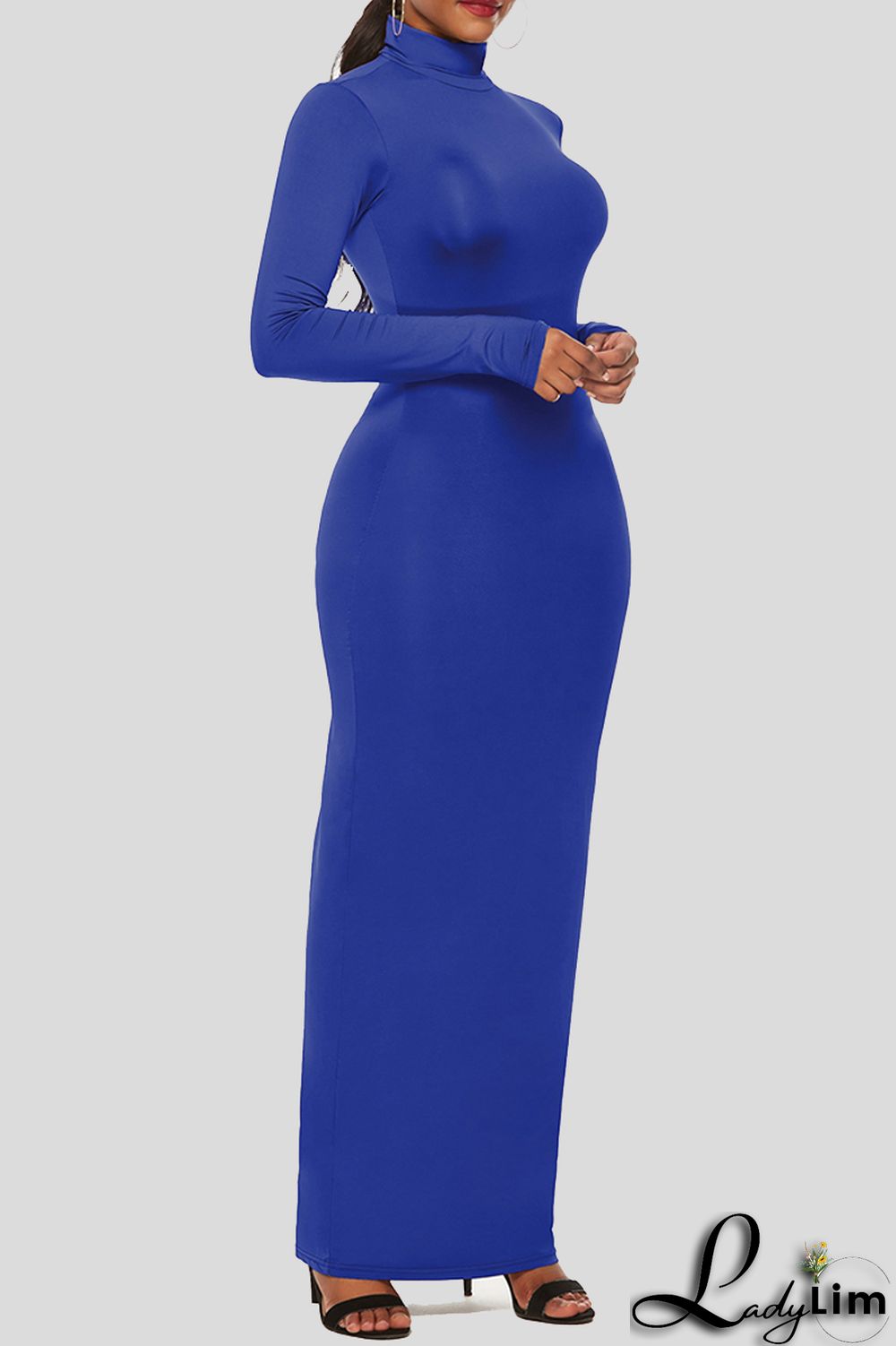 Black Fashion Casual Solid Basic Turtleneck Long Sleeve Dresses