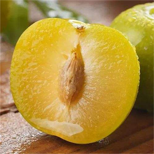 🌟Golden Plum Seeds🌿Can be planted in all seasons