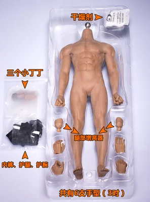 Phicen Limited 1/6 Scale Super Flexible Male Muscular Seamless Body  PL2016-M33 - 1/6 Scale Super Flexible Male Muscular Seamless Body  PL2016-M33 . Buy Action Figure toys in India. shop for Phicen Limited  products in India.