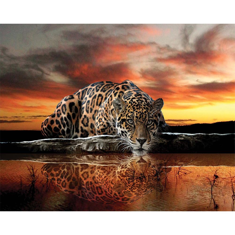 Lonely Leopard 40*50cm paint by numbers
