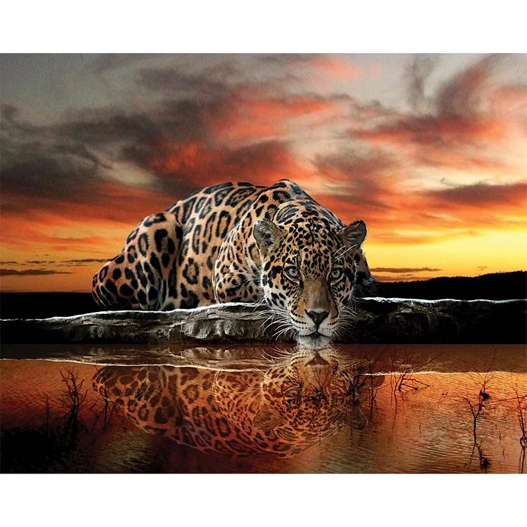 Lonely Leopard - Painting By Numbers - 40x50cm