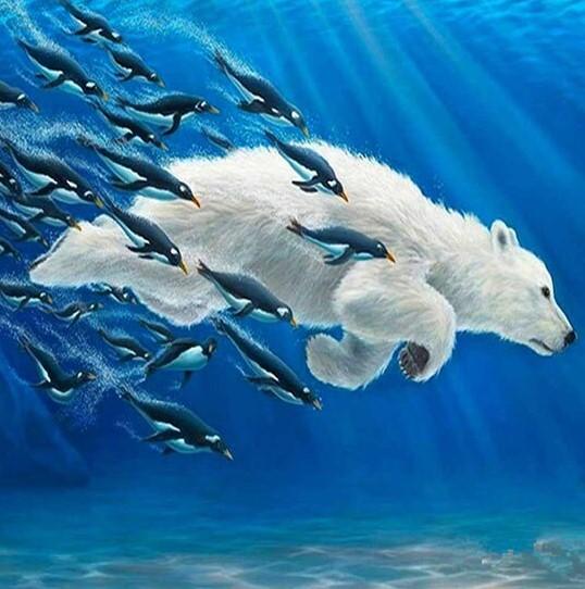 

Polar Bears Swim – Paint By Numbers - 40*50CM, 501 Original