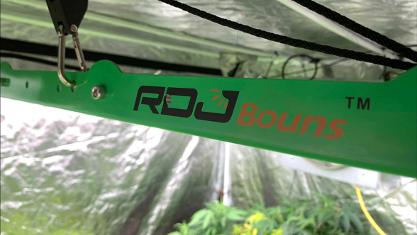 Maximizing Harvest with RDJBouns Brand and Growline720 Grow Light