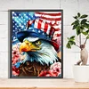 Diamond Painting-DIY Full Round Drill Eagle and Flag