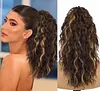 ⏳R&eacute;duction limit&eacute;e de 50%🎁18 Inch Curly Wavy Frizzy Hair Extension with Ponytail