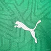 25/26 Mens Palmeiras Pre-Match Jersey