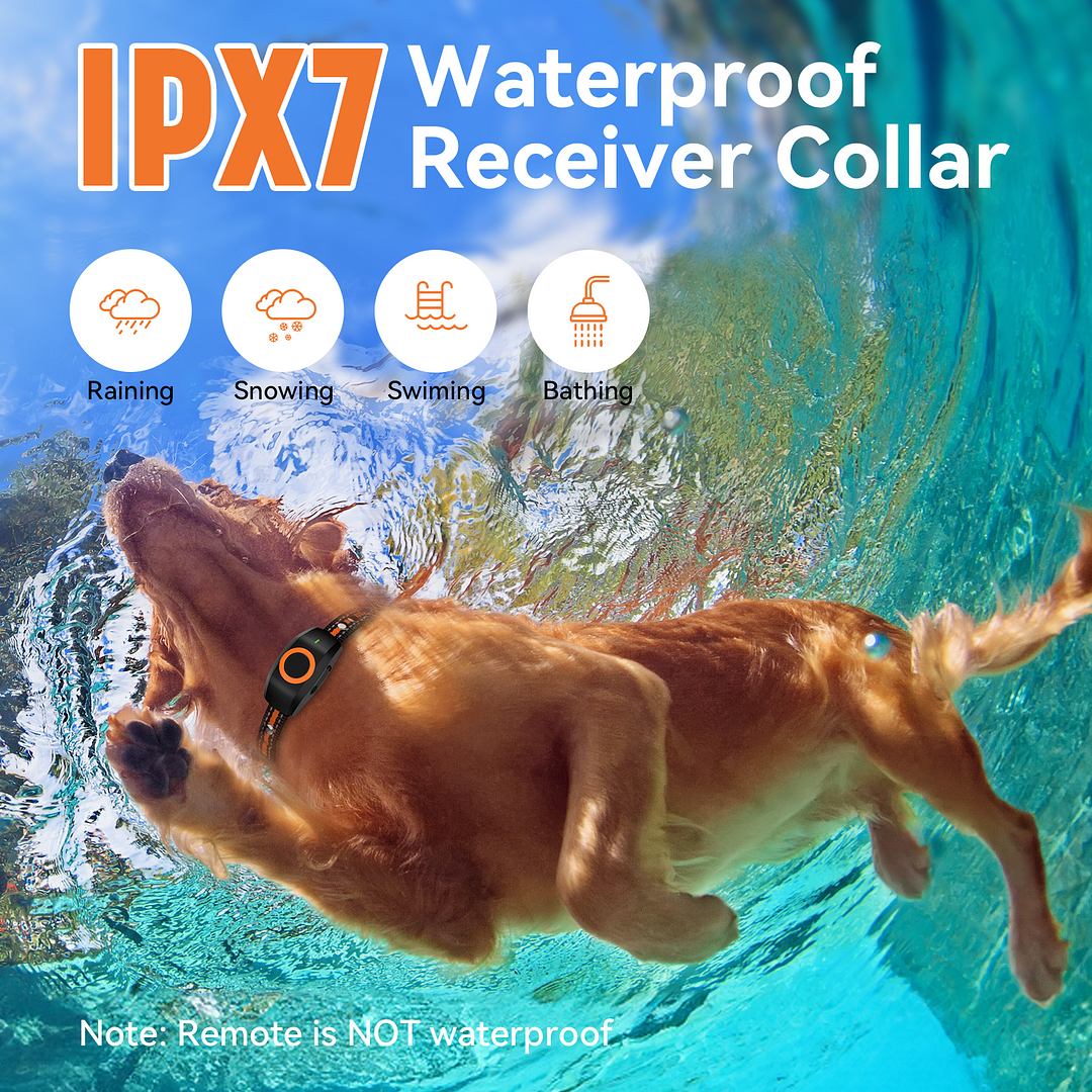 MAXLAPTER 2 Dogs Training Collar, IPX7 Waterproof Dog Shock Collar with 3 Modes, Rechargeable Pet Collar 2624ft Remote Control