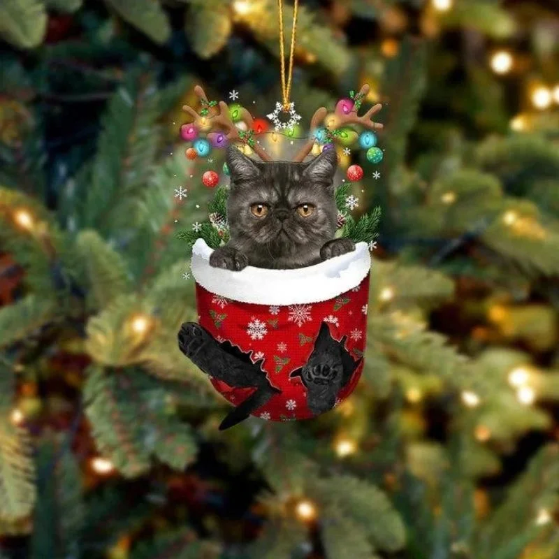 VigorDaily Cat In Snow Pocket Christmas Ornament SP174