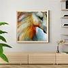 uk.everydayedeals (Limited Stock)Paint By Number - Oil Painting -  Horse (40*40Cm)