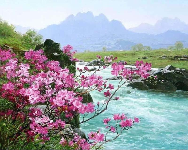 

Flower River – Paint By Numbers - 40*50CM, 501 Original