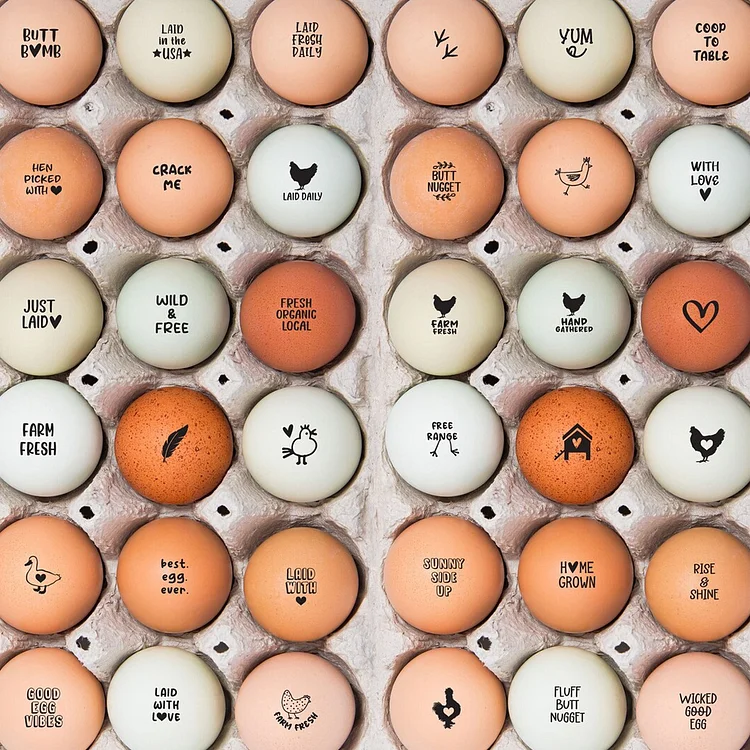 Custom Egg Stamp, Personalized Egg Stamp, Homesteading, Farm Stamp, Egg Marking, Egg Stamper, Egg Carton, Cute Egg Stamp, Farm Girl