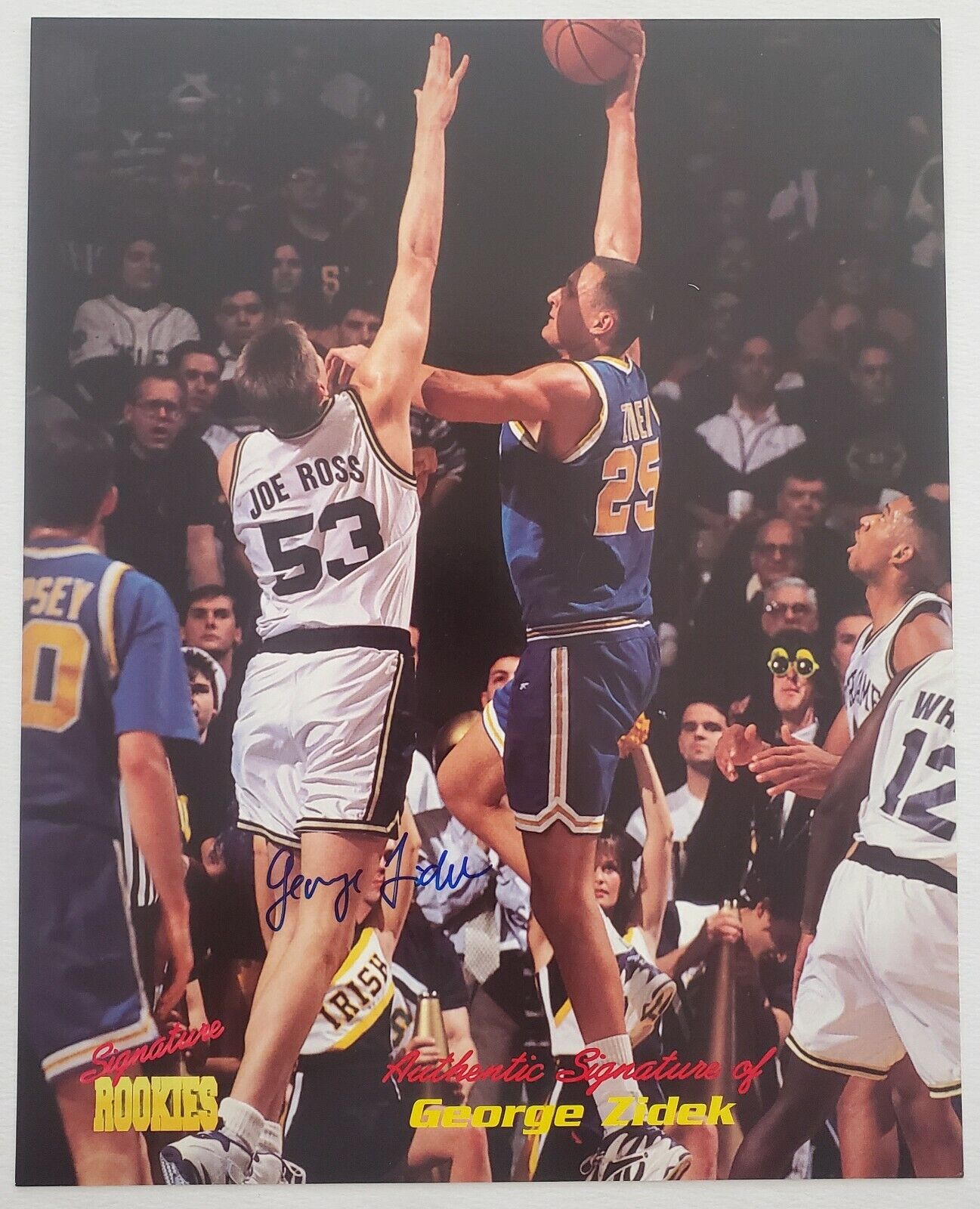 George Zidek Signed Signature Rookies 8x10 Photo Poster painting NCAA UCLA NBA RAD