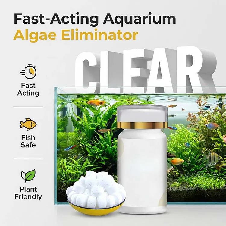 🐟💧 SCONTO DEL 50% 🔥 Rimedio efficace contro l'acqua verde e le alghe nell'acquario &ndash; acqua cristallina in poco tempo ✨