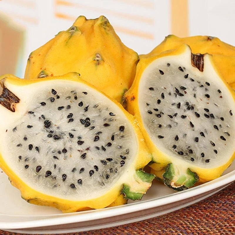💥Non-GMO Heirloom Dragon Fruit Seeds 50 Pcs/Pack Jonyparkseed®