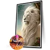 (40*60cm)Lion - Full Round Drill Diamond Painting