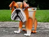 Bulldog Dog Planter Outdoor Garden Pot Ornament Patio Display For Flowers / Herbs - Quirky Gift Present