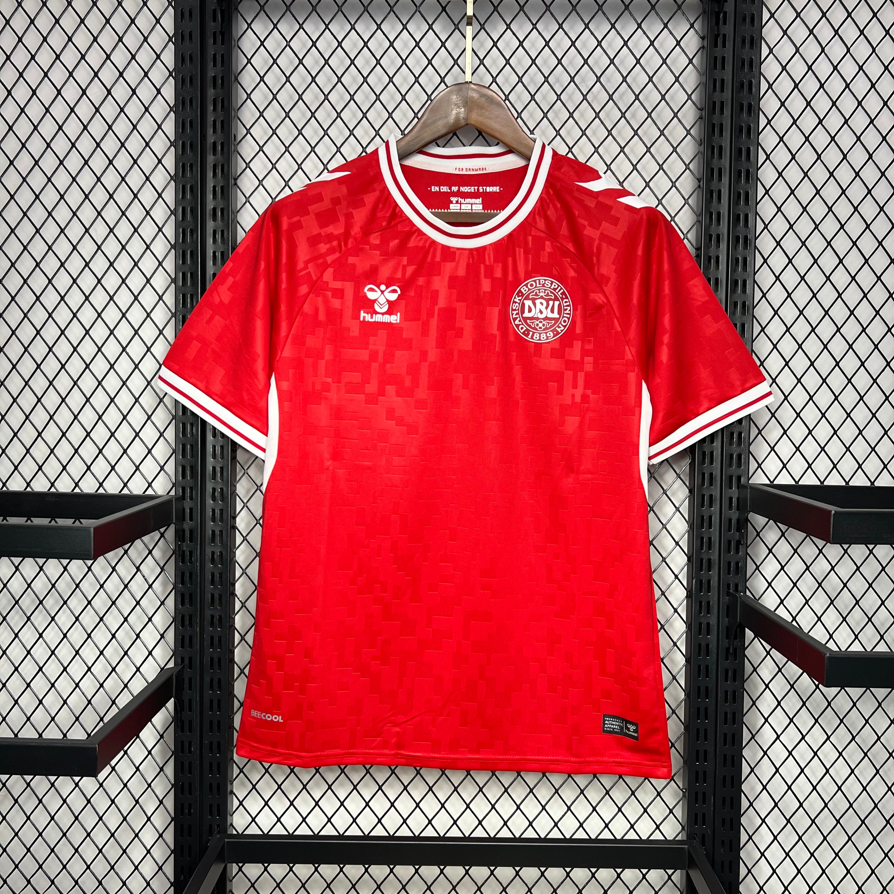 Danemark maillot foot 2024 2025 Maillot De Fou, site maillot de foot pas cher