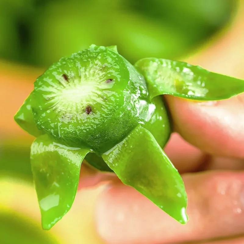 Rare Thumb Kiwi Seed