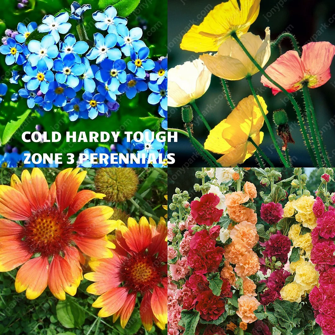 JONY PARK Extreme Cold Hardy Perennial Flower Seeds Mix 14.99