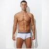 Men's Ultra-Thin Ice Mesh Transparent Sexy Boxers