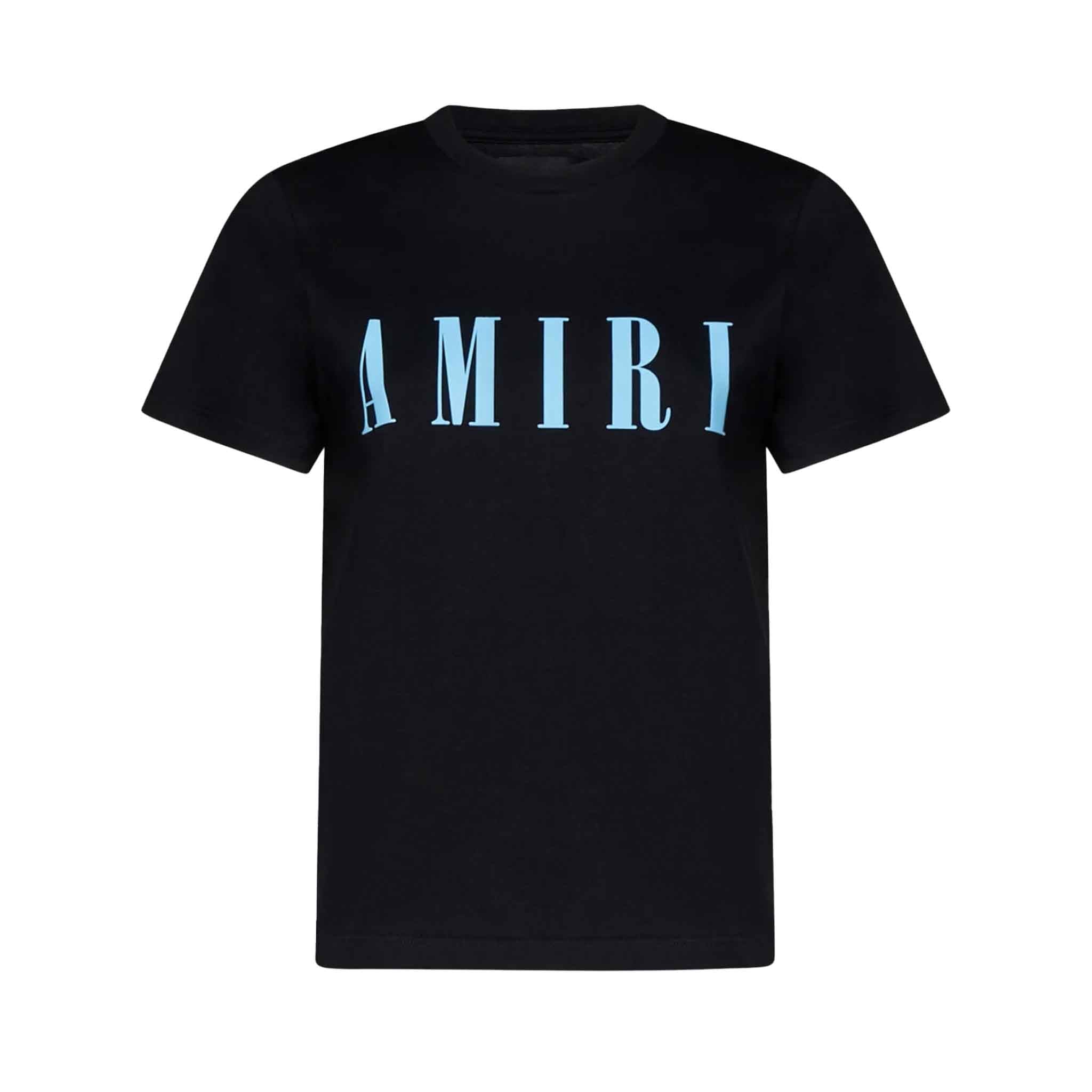 Amiri Core Logo T-Shirt in Black